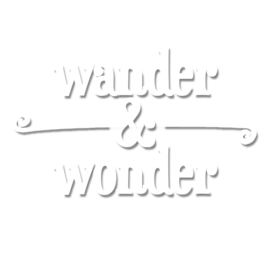 Wander and Wonder » Photography by Jessie Hodges